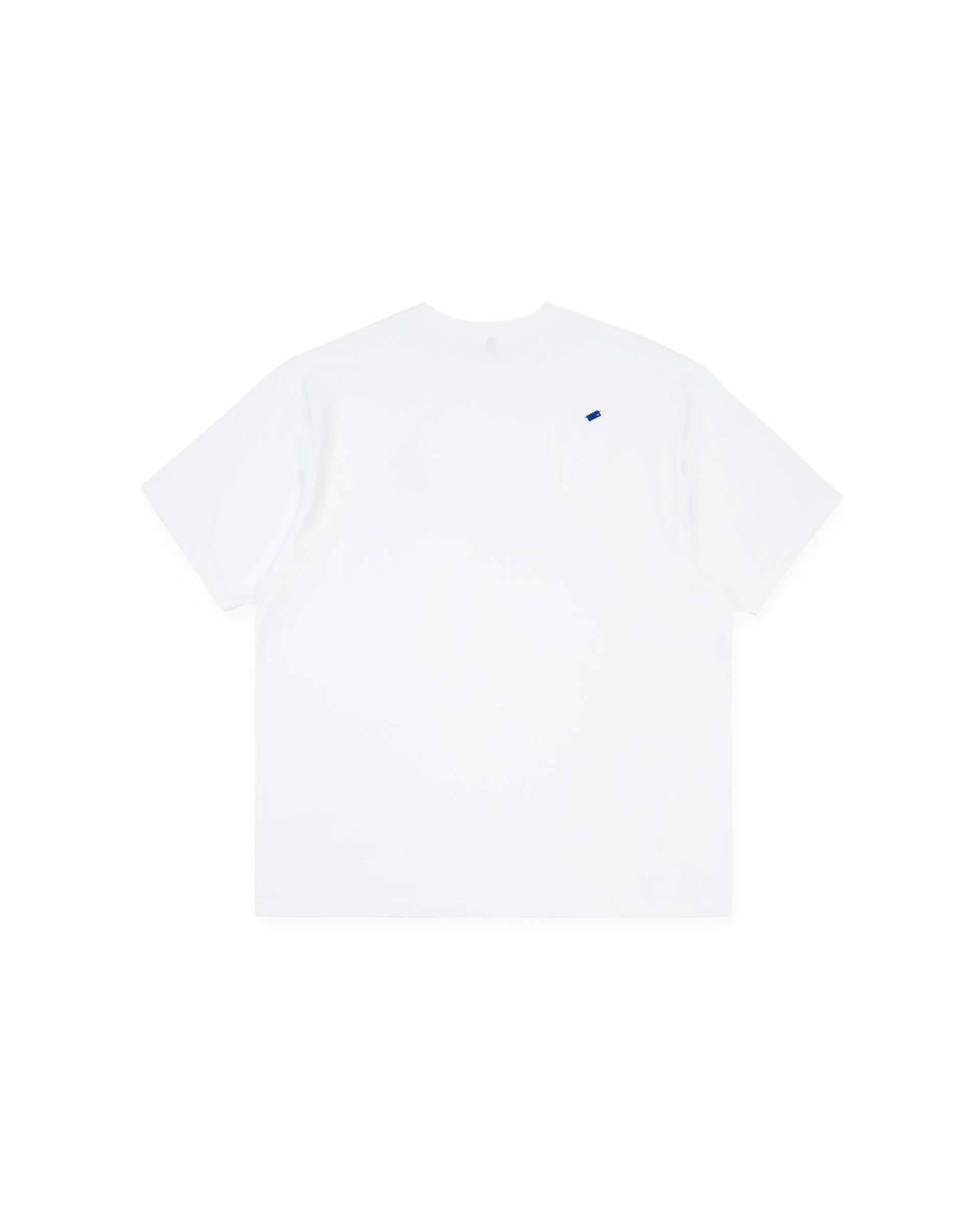 A1
